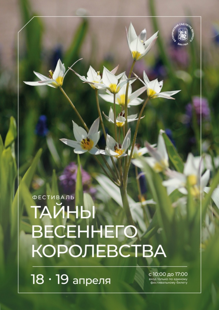 Афиша фестиваля. Афиша фестиваля.