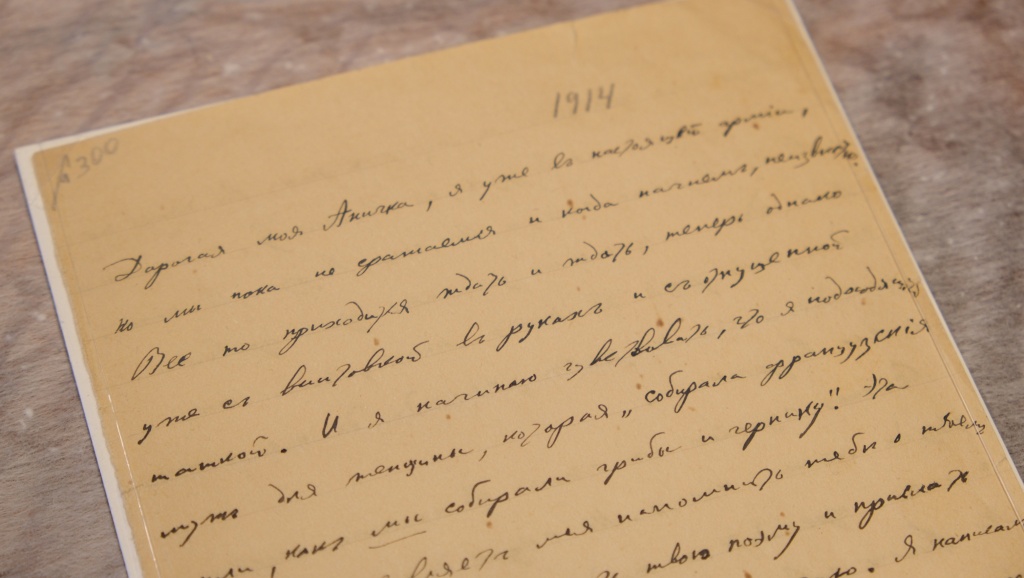 Основу экспозиции составляют автографы и прижизненные поэтические сборники Гумилёва и Ахматовой. 