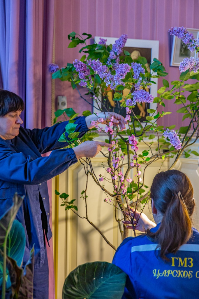 Осенью сотрудники оранжерейного комплекса высаживают кусты в специальные ящики, а в декабре настраивают растение на пробуждение.