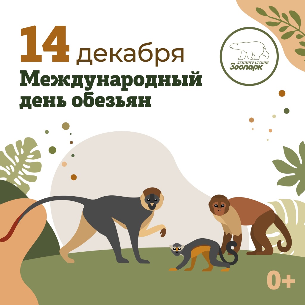 Афиша события. 