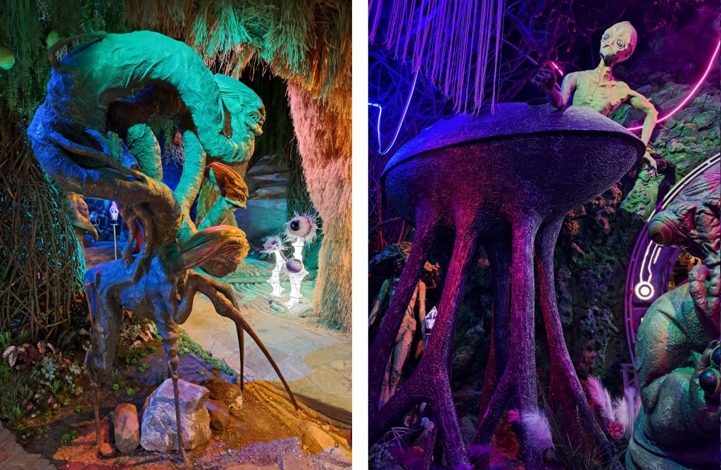 Фото: Алёна Абрамова