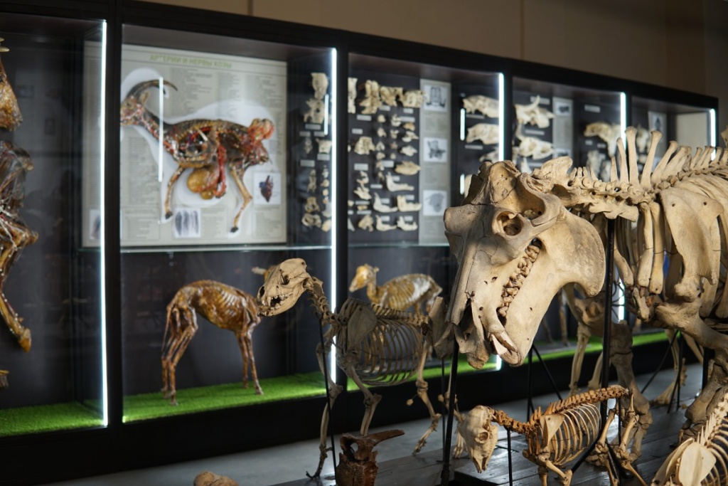 Фото: www.artnight.ru.