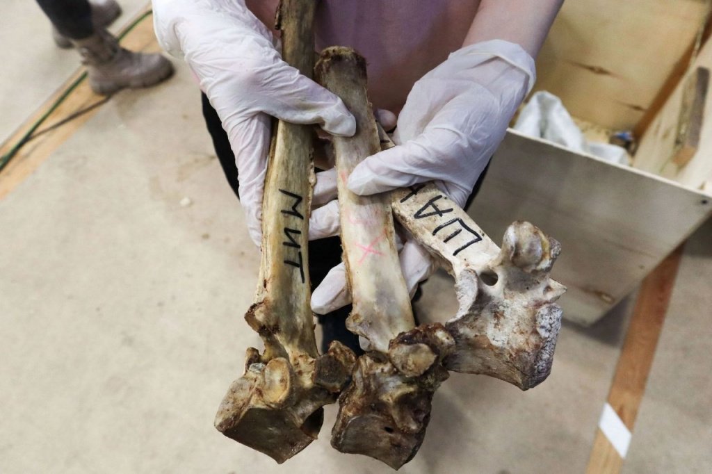 Бурят-монгольское «Разбивание хребтовой кости» или «Сээр хухалха (Һээр шаалган)». Предоставлено Санкт-Петербургским Домом национальностей