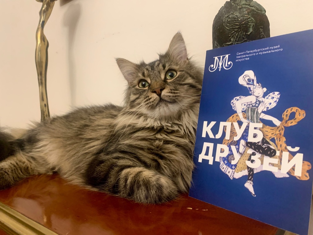 Левкий. Правообладатель: пресс-служба СПбГМТиМИ. Левкий. Правообладатель: пресс-служба СПбГМТиМИ.