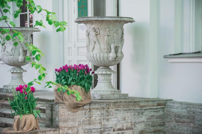 Фестиваль тюльпанов на Елагином острове в 2021. Фото: Ирина Иванова