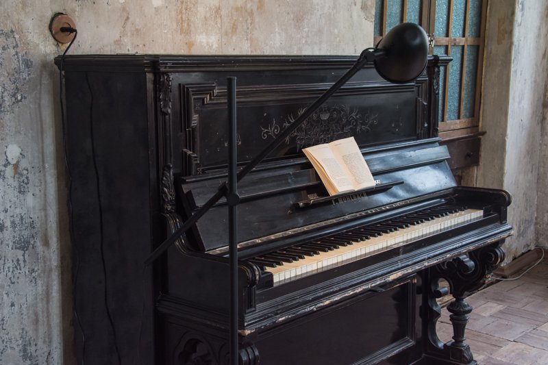 Фото: Ирина Иванова