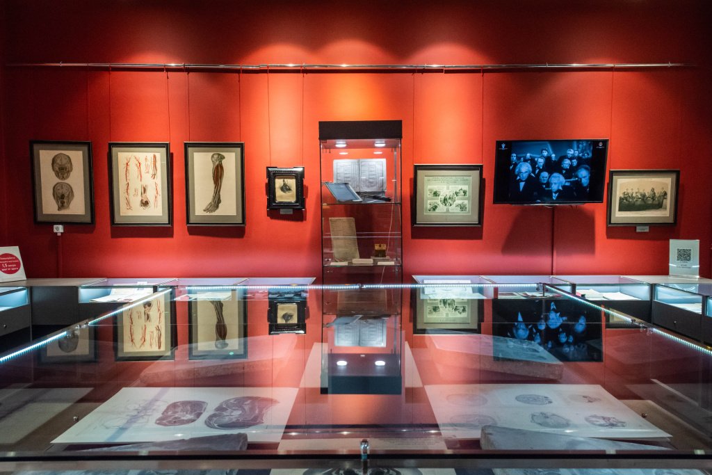 Военно-Медицинский музей. Фото: Ирина Иванова