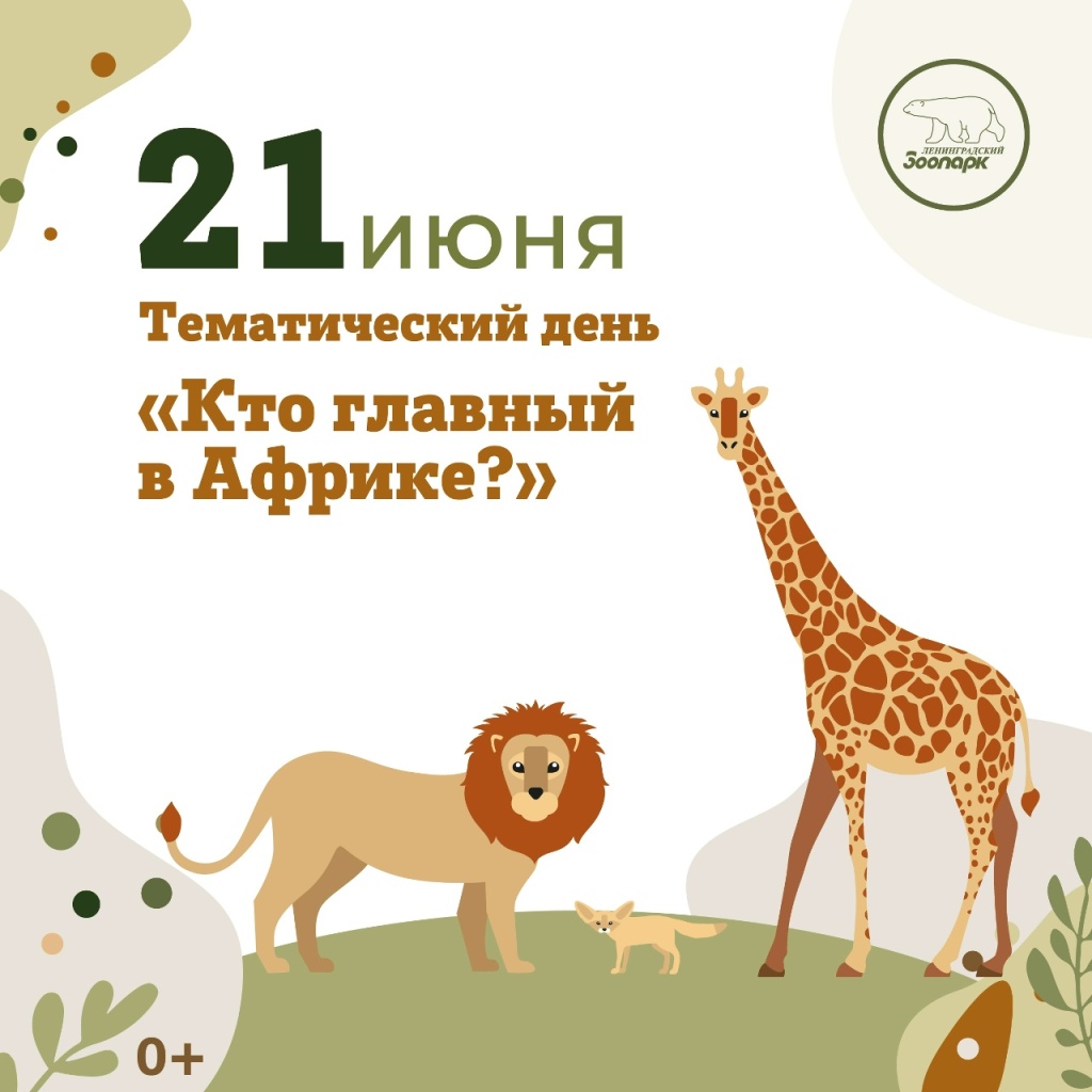 Фото: vk.com/spbzoopark. Правообладатель: Ленинградский зоологический парк. r-h14lk4AG5dTNg4pzYO1GHwUd6ZJbh599t-ipzJZxd-tvoCbCdEJDt2tS90gf2cUEl5AQVdrzmPntTMaUdimtHe.jpg