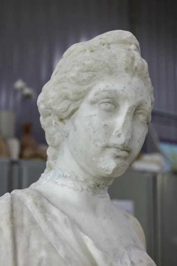 Флора в процессе реставрации.