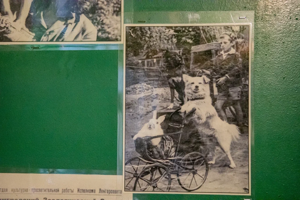 Фото: Ирина Иванова. Правообладатель: Институт культурных программ. 