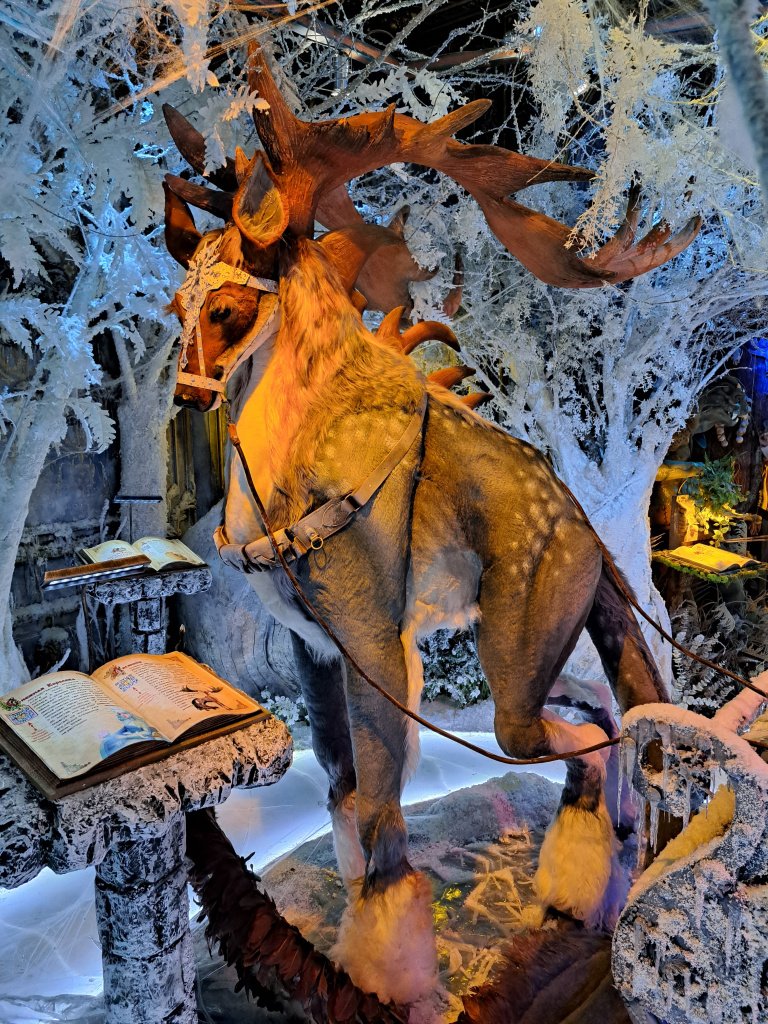 Фото: Алёна Абрамова