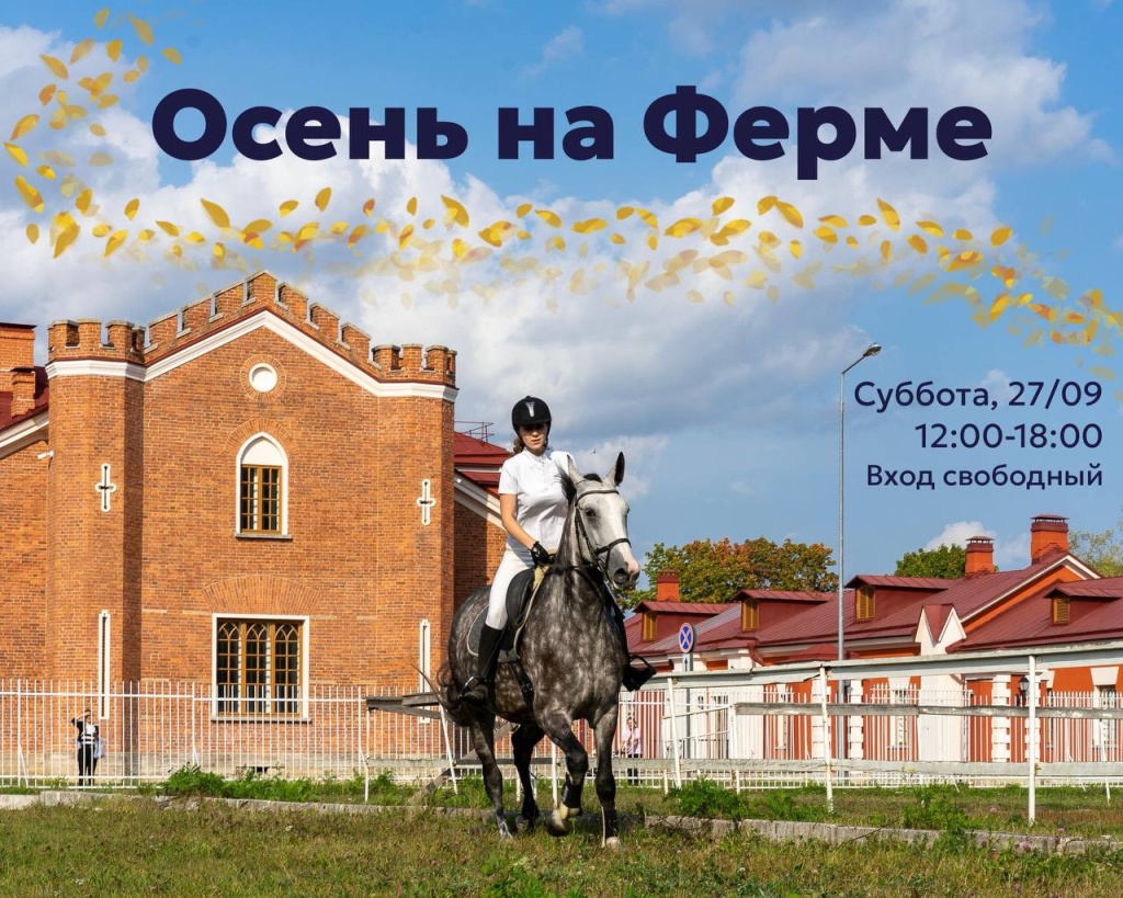 Афиша фестиваля. Афиша фестиваля.