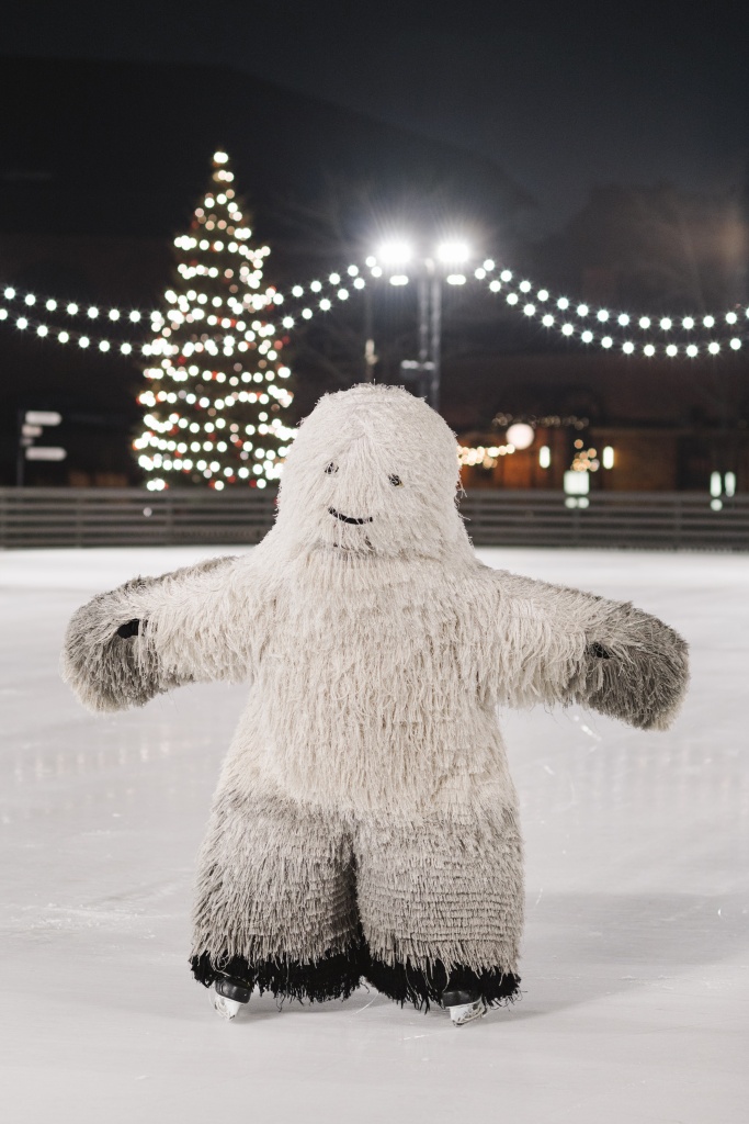 NHI_Ice Rink (фото предоставлено пресс-службой проекта «Новая Голландия культурная урбанизация») (6).jpg