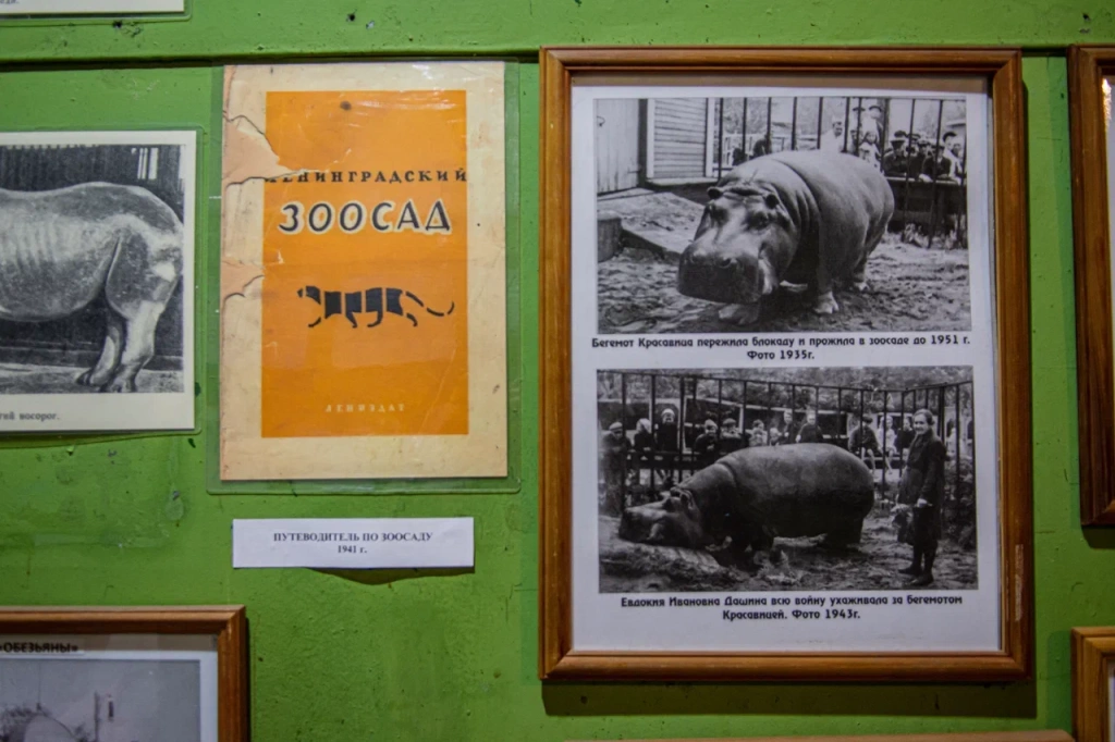 Фото: Ирина Иванова. Правообладатель: Институт культурных программ. 