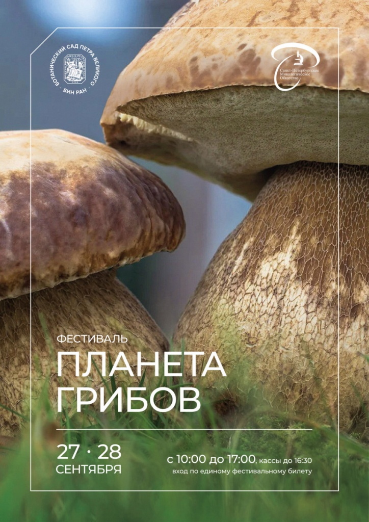 Афиша фестиваля. Афиша фестиваля.