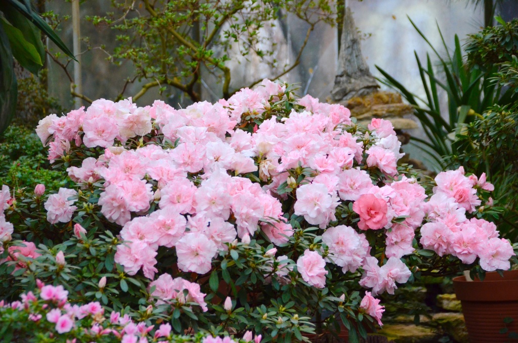 Фото: Алевтина Здоровенина