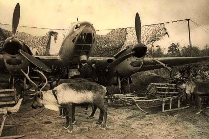 Правообладатель: пресс-служба Российского этнографического музея.