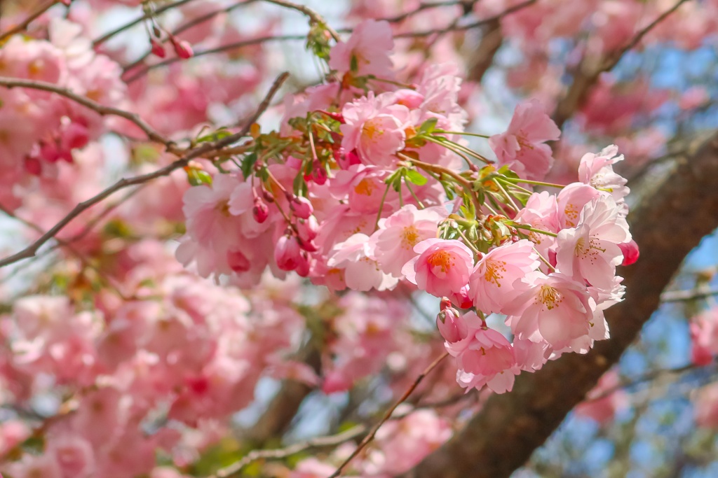 Бесплатные мероприятия в Санкт-Петербурге с 1 по 17 мая 2026 года