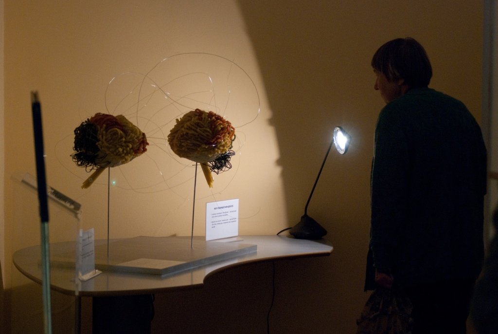 Фото: vk.com/proarte / Проект: «На связи», 2011. Выставка участников программы «Современное искусство в традиционном музее»