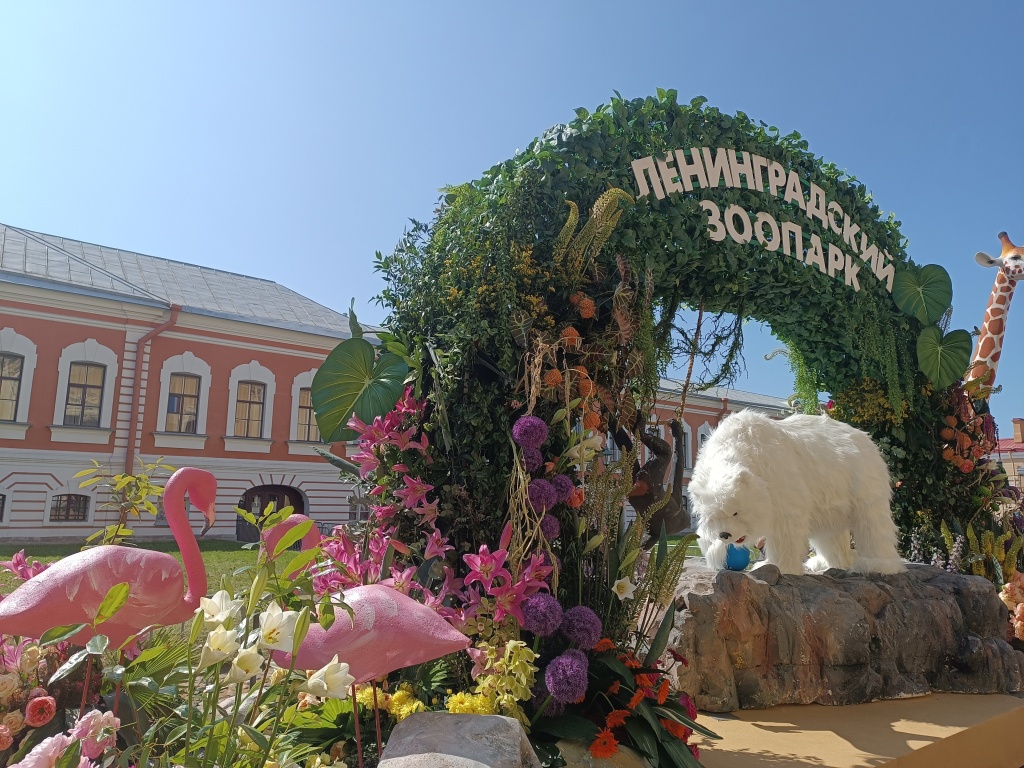 IMG_20250615_103550.jpg