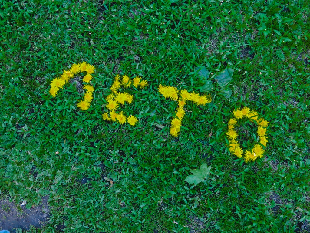 Инклюзивный Петербург: 29 июля - 4 августа 2024