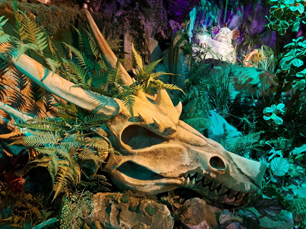 Фото: Алёна Абрамова