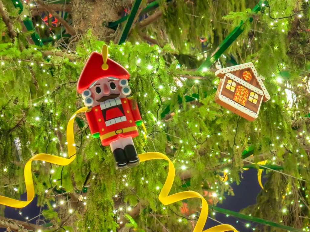 Фото: Ирина Иванова