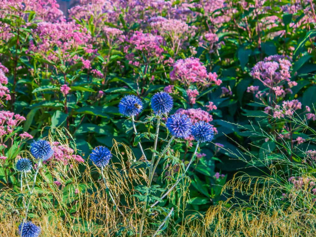 Инклюзивный Петербург: 24 - 30 июня 2024 года