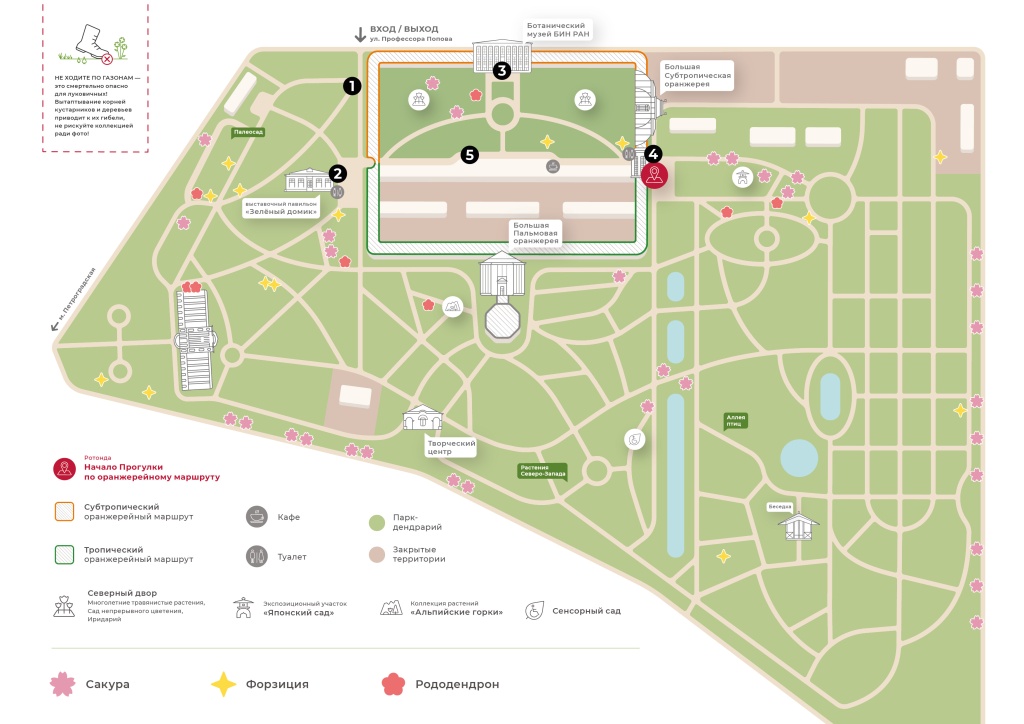 План фестиваля. План фестиваля.