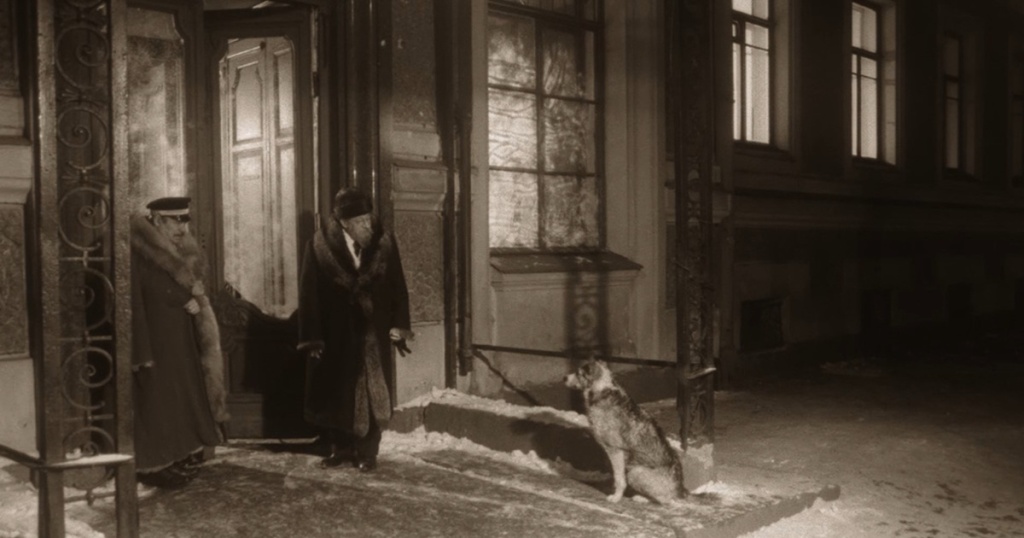 Кадр из фильма «Собачье сердце».