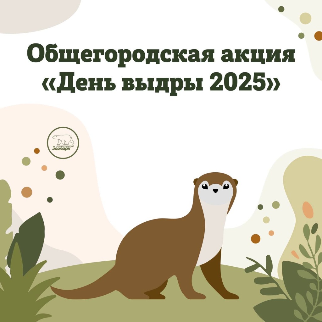Афиша акции. 