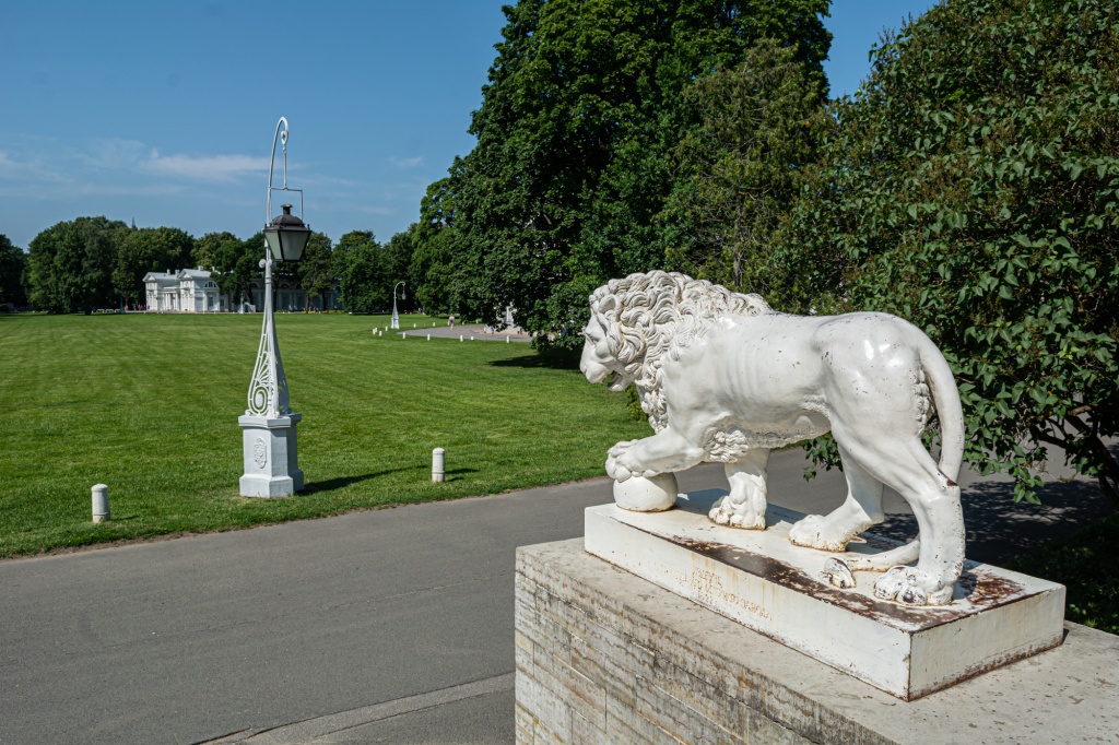 Лев у Елагиноостровского дворца-музея. Фото: Ирина Иванова.
