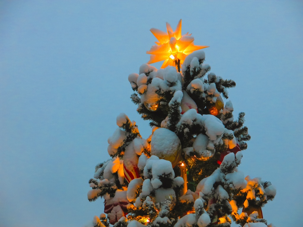 новый год 2024 Ирина Иванова-3558.jpg