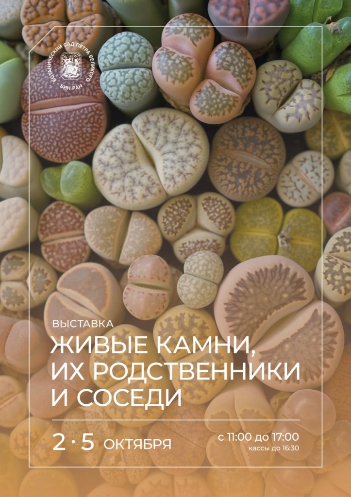 Афиша выставки. Афиша выставки.