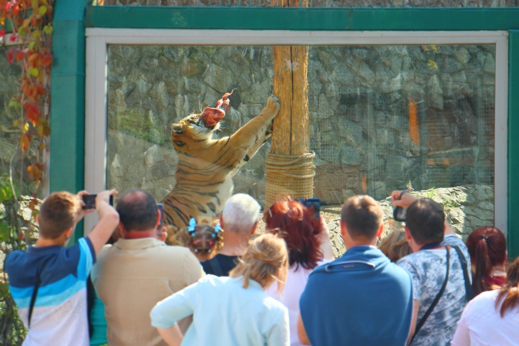 Фото: пресс-служба Ленинградского зоопарка. 2019-07-28_014.JPG