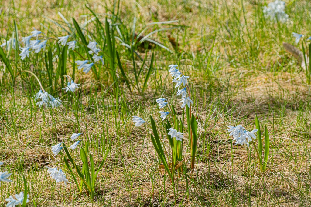 Куда пойти бесплатно в Петербурге: 21 - 30 апреля 2026 года