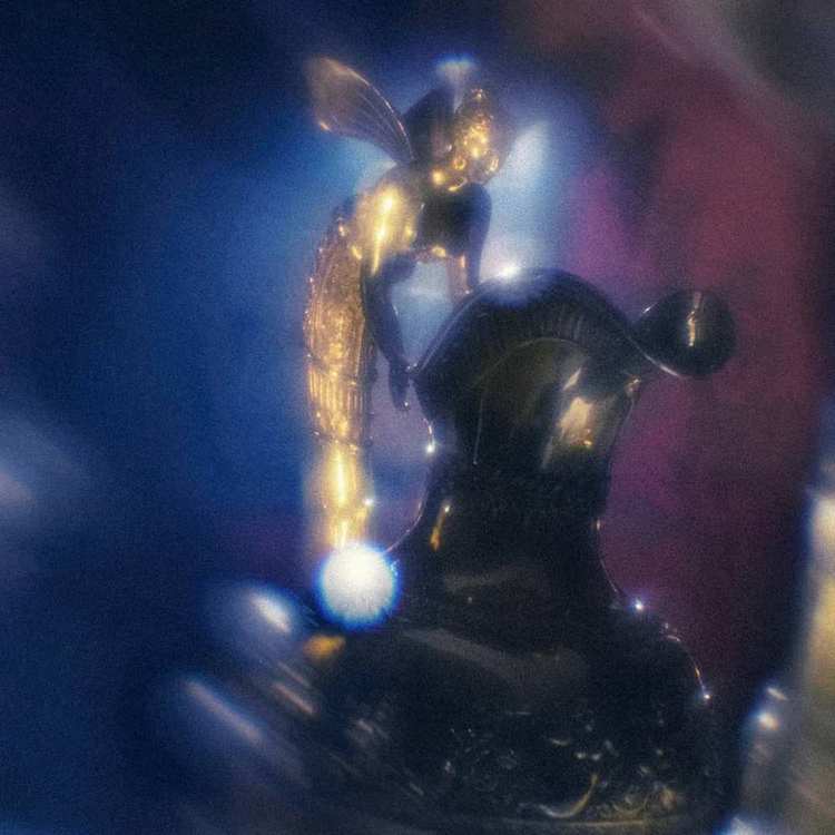 Фото: Елена Гонтаренко.