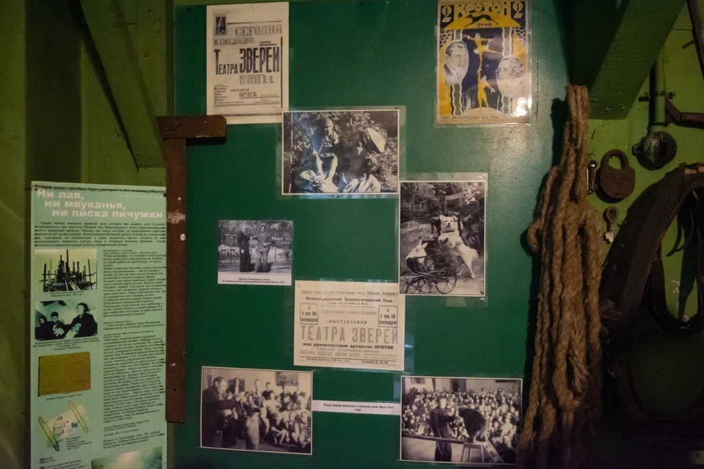 Фото: Ирина Иванова. Правообладатель: Институт культурных программ. 