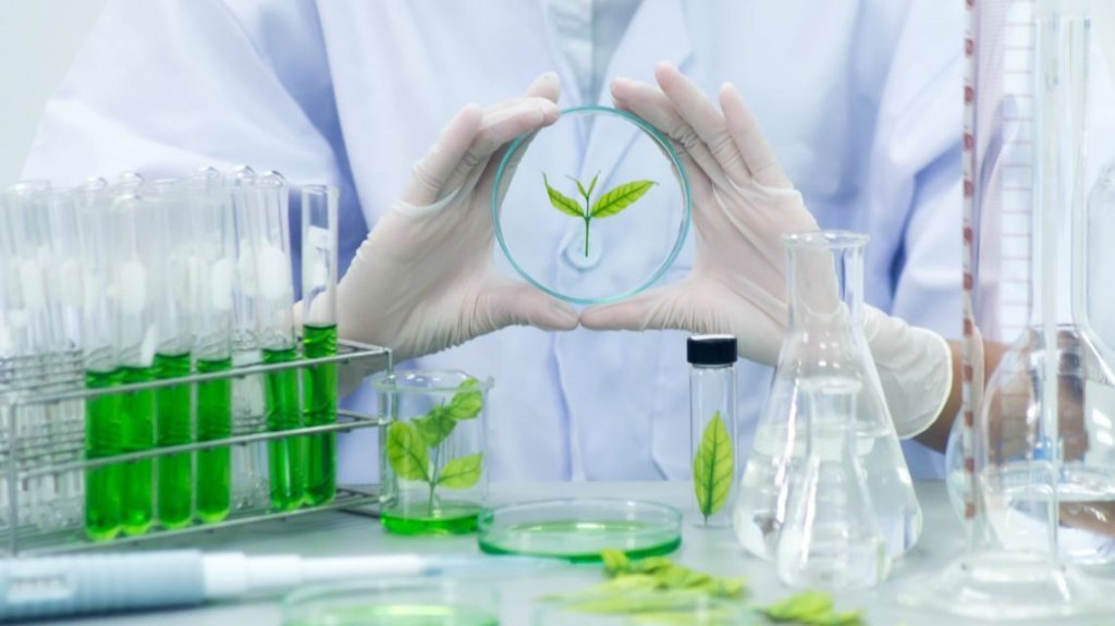 Фото: wallpapersafari.com