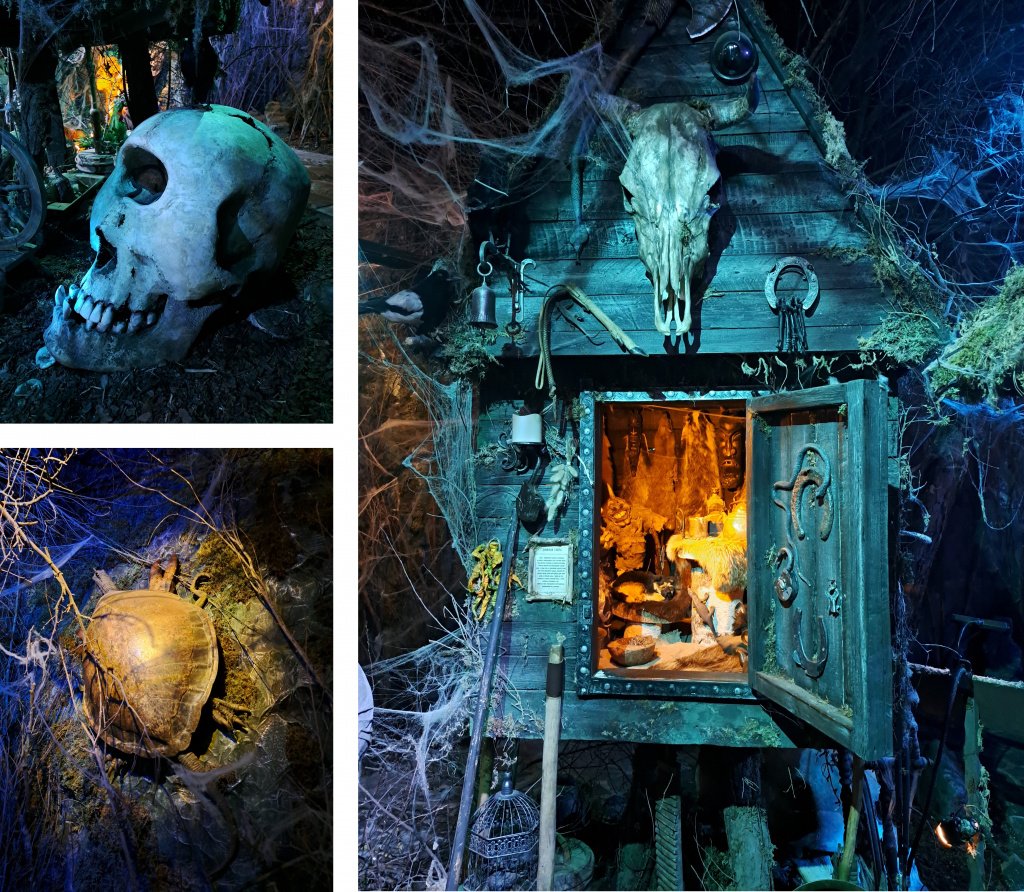 Фото: Алёна Абрамова