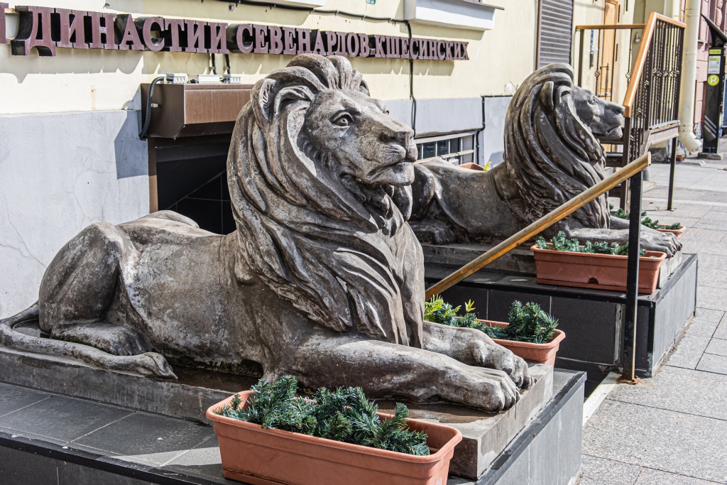 Фото: Ирина Иванова. Правообладатель: Институт культурных программ. 