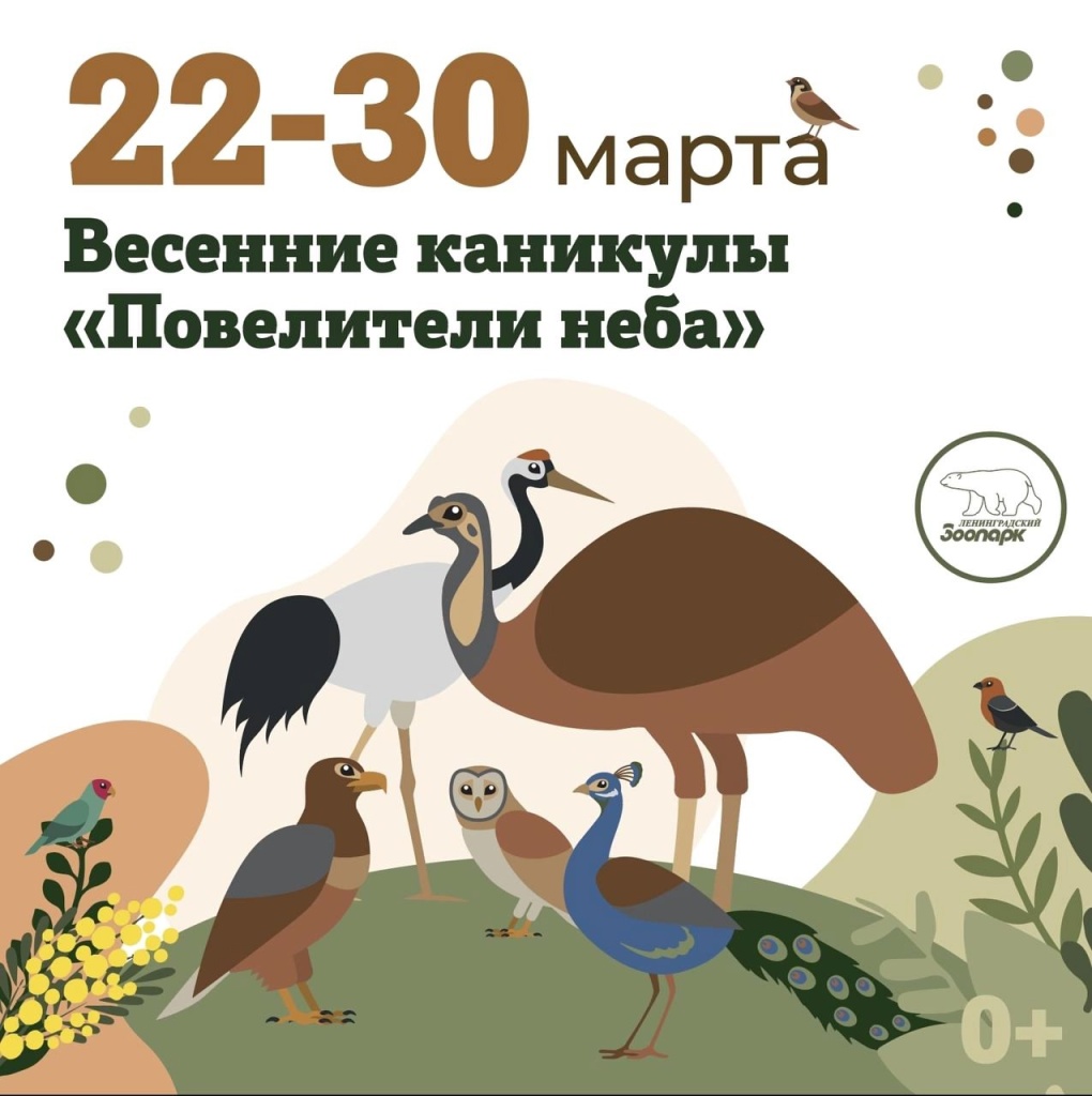 Афиша программы. 