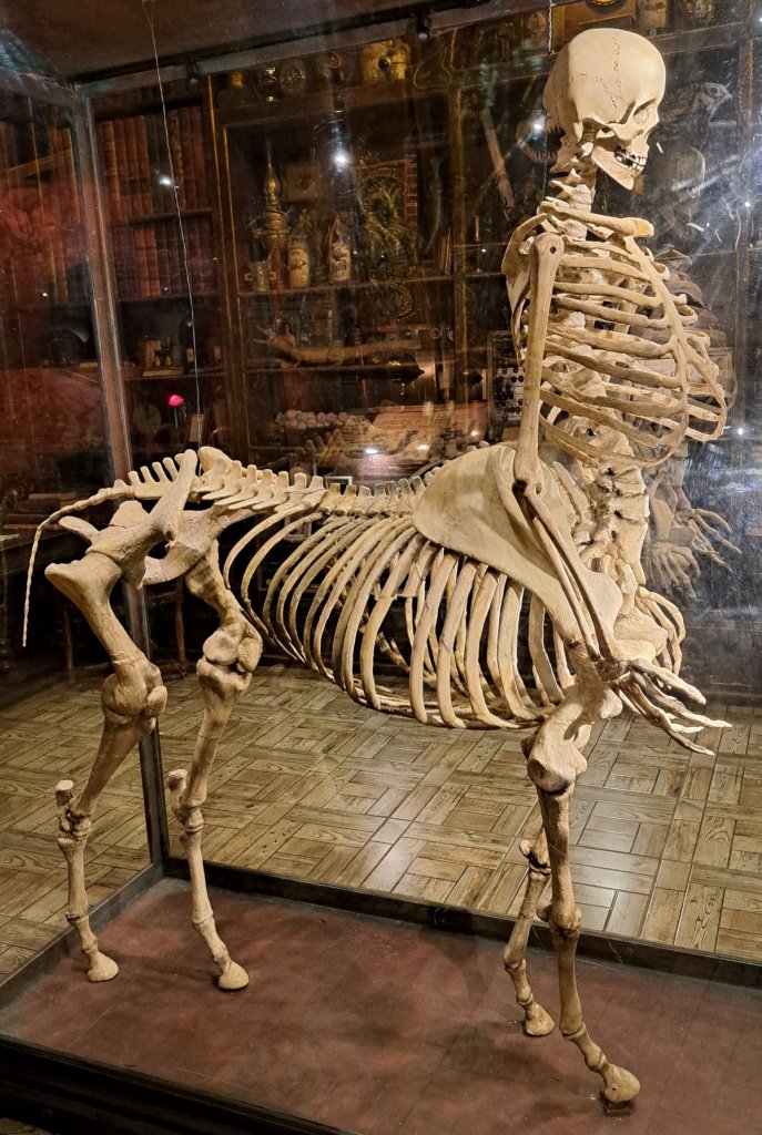 Фото: Алёна Абрамова