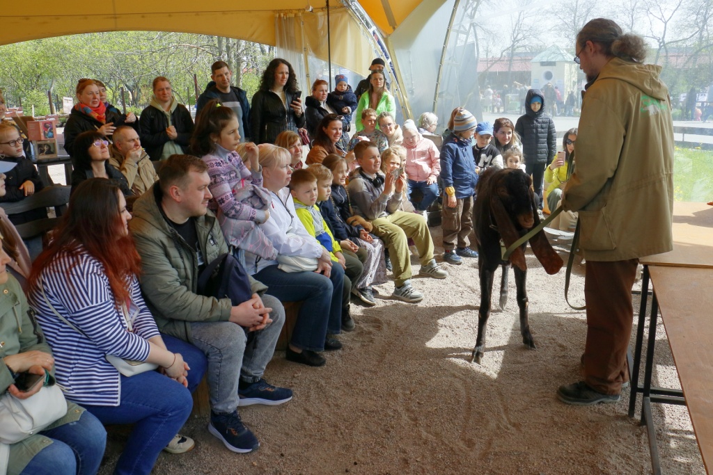 Правообладатель: пресс-служба Ленинградского зоопарка.