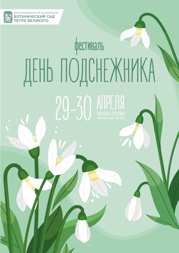 Афиша фестиваля