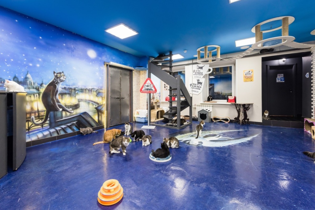 Фото: www.artnight.ru.