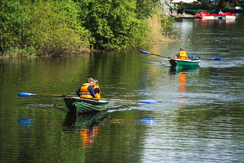 Фестиваль тюльпанов на Елагином острове в 2021. Фото: Ирина Иванова