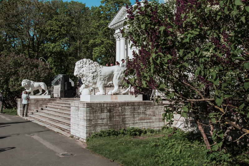 Фестиваль тюльпанов на Елагином острове в 2021. Фото: Ирина Иванова