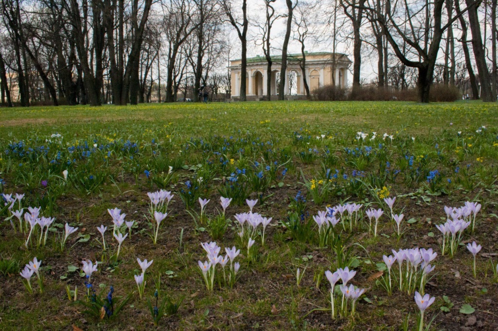 Летний и Михайловский сады с 1 апреля закрыты на ежегодную просушку.