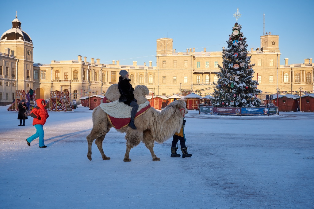 Правообладатель: Сергей Рятте / пресс-служба ГМЗ «Гатчина».